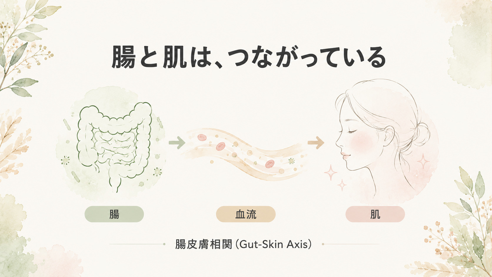 腸と肌をつなぐ腸皮膚相関のフロー図