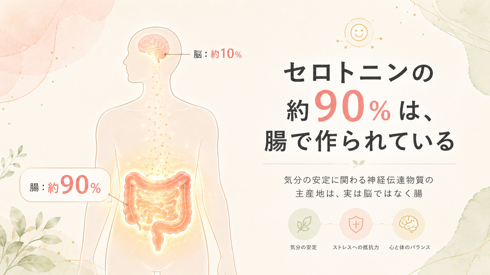 セロトニンの約90%は腸で作られる